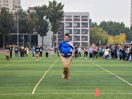 坦帕湾光芒在 2008 年完成从万年垫底到杀入世界大赛的华丽转身