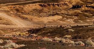 纽约洋基队格里特·科尔单季 257 次三振刷新洋基队史纪录