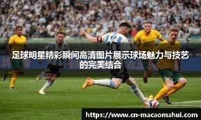 化与